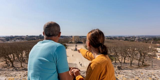 Vue_Arcdetriomphe_PlaceduPeyrou_horizontale