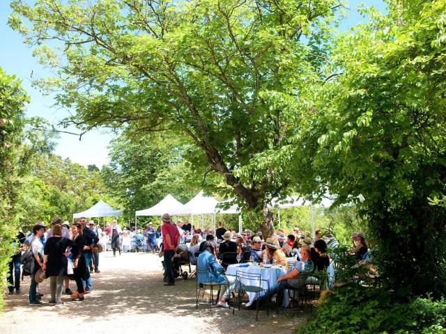 Baladegastronomique_Grèsdemontpellier