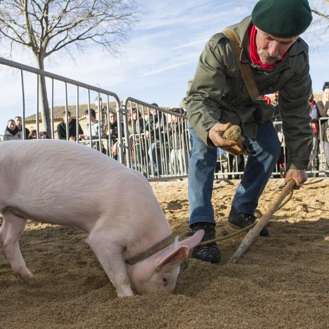 Fetedelatruffe_SaintGenièsDesMourgues_3m