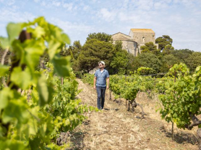 Villeneuve Lès Maguelone_danslesvignes_horizontale