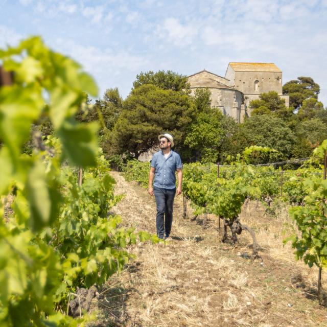 Villeneuve Lès Maguelone_danslesvignes_horizontale