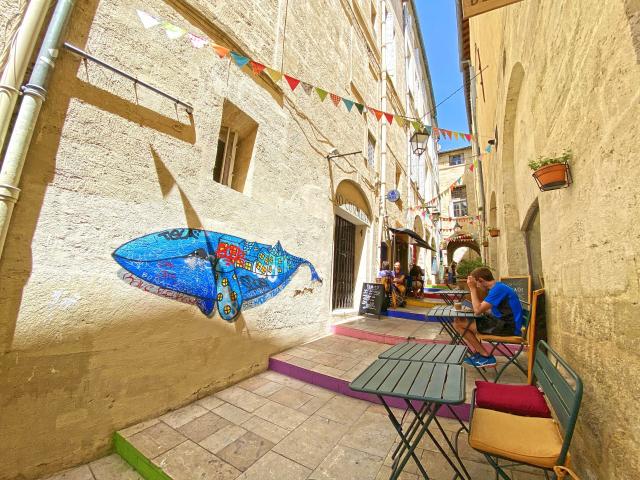 Rue de l'ancien courrier Montpellier