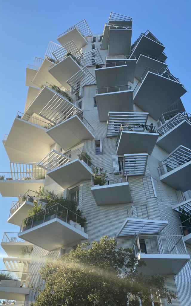 Arbre Blanc Vertical