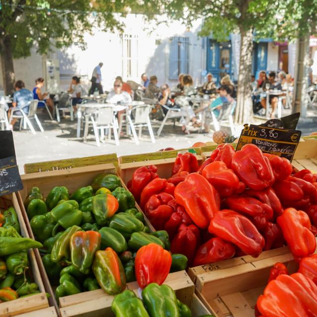 Beaux Arts Montpellier Marché