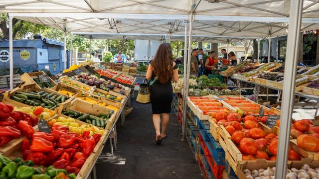 Beaux Arts Montpellier. Marché 2