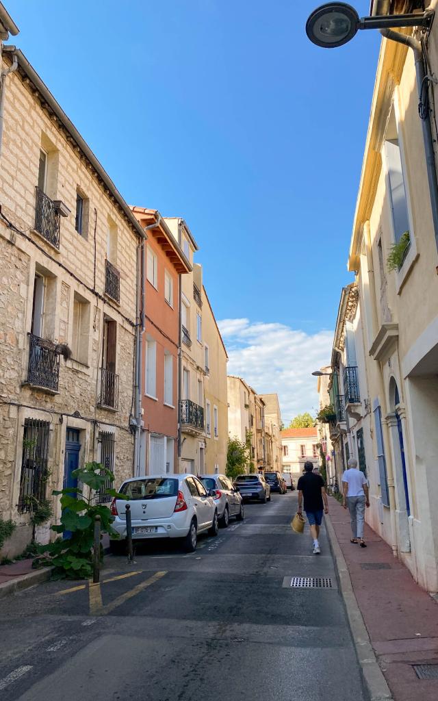 Boutonnet Montpellier Quartier Ruelle Vertical