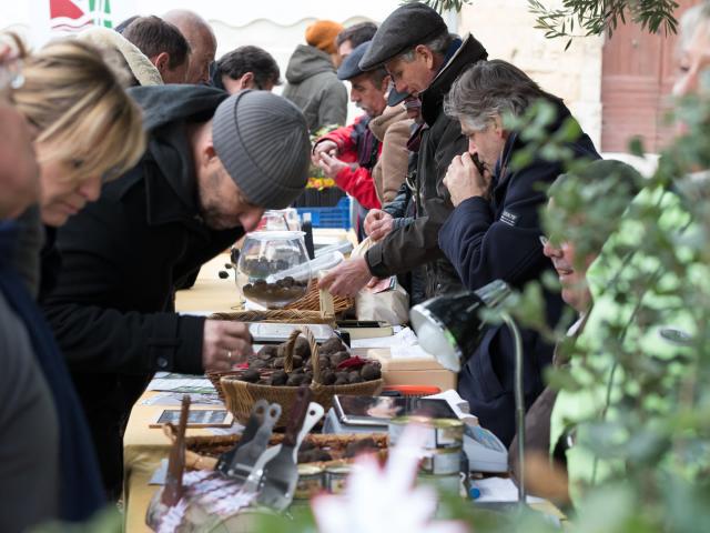 La 11ème fête de la truffe se déroule dans le village de Saint Geniès des Mourgues, avec de nombreux stands, atelier cuisine, démonstration de cavage et vente de truffe.