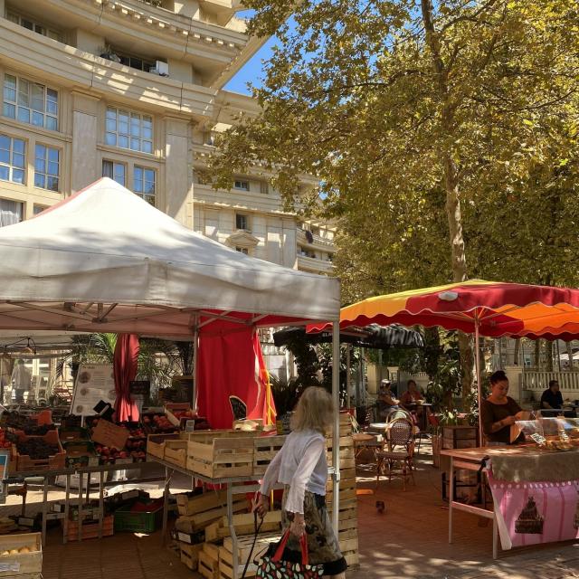 Marché Antigone Vertical