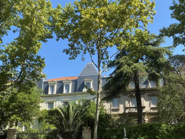 Quartier Des Arceaux Vertical