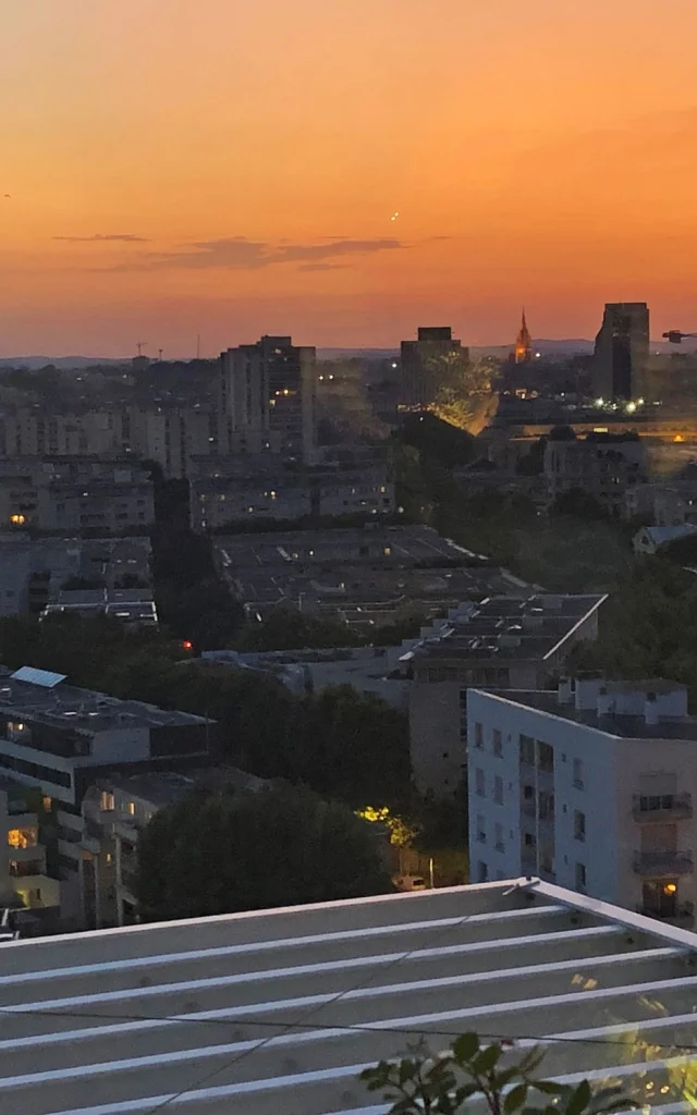 Vue De L'arbre Blanc Couchant Nuit