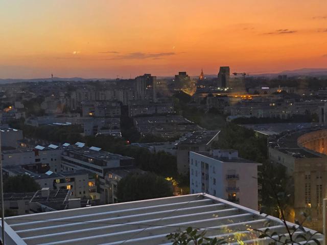 Vue De L'arbre Blanc Couchant Nuit