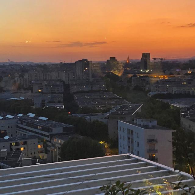 Vue De L'arbre Blanc Couchant Nuit