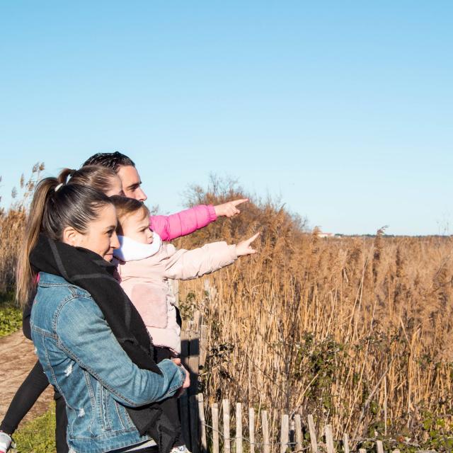 Enfamille_maisondelanature_balade_horizontale