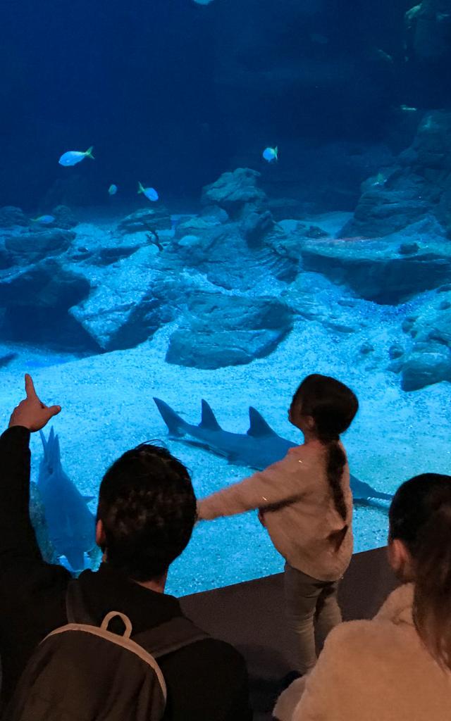 Aquarium Planet Ocean Montpellier en famille