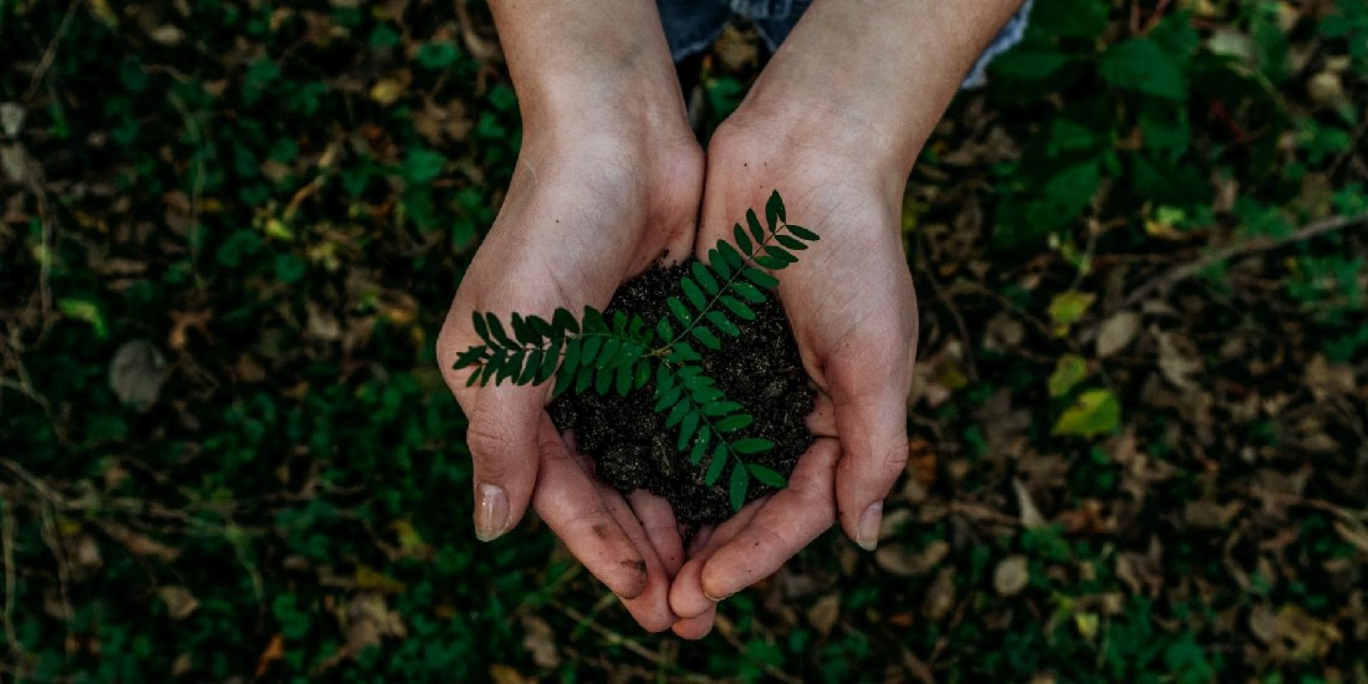 Adoptez Les Bons Comportements Eco Responsables Sur Notre Territoire