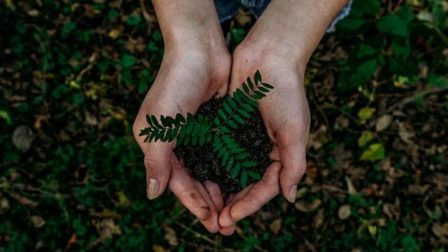 Adoptez-les-bons-comportements-eco-responsables-sur-notre-territoire.jpg