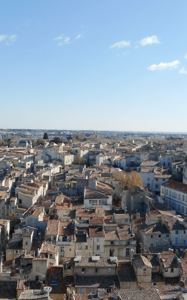 CathedraleSaintPierre©OT-Montpellier-G.Chartronv2-min-1.png