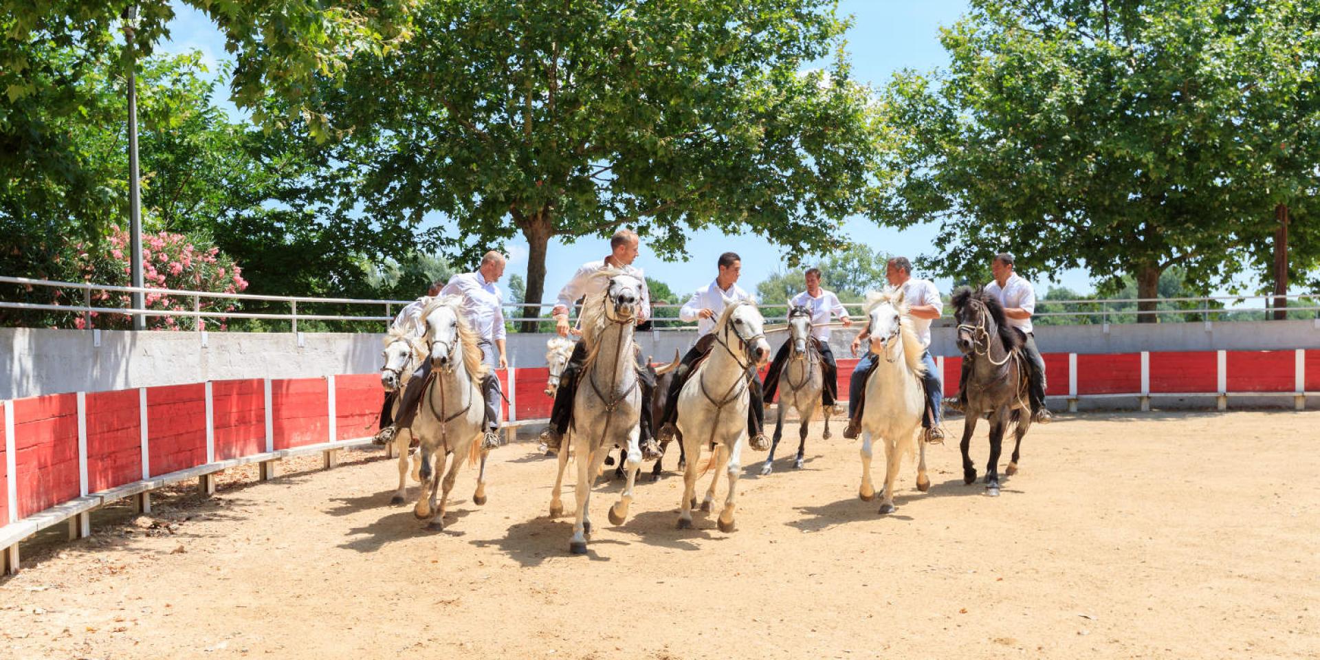 L'Abrivado Activités taurines chevaux