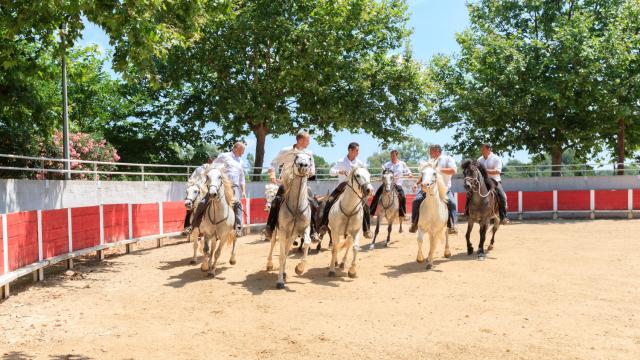 L'Abrivado Activités taurines chevaux