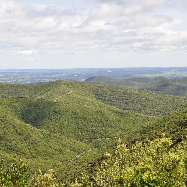 MontagnesEnCevennes