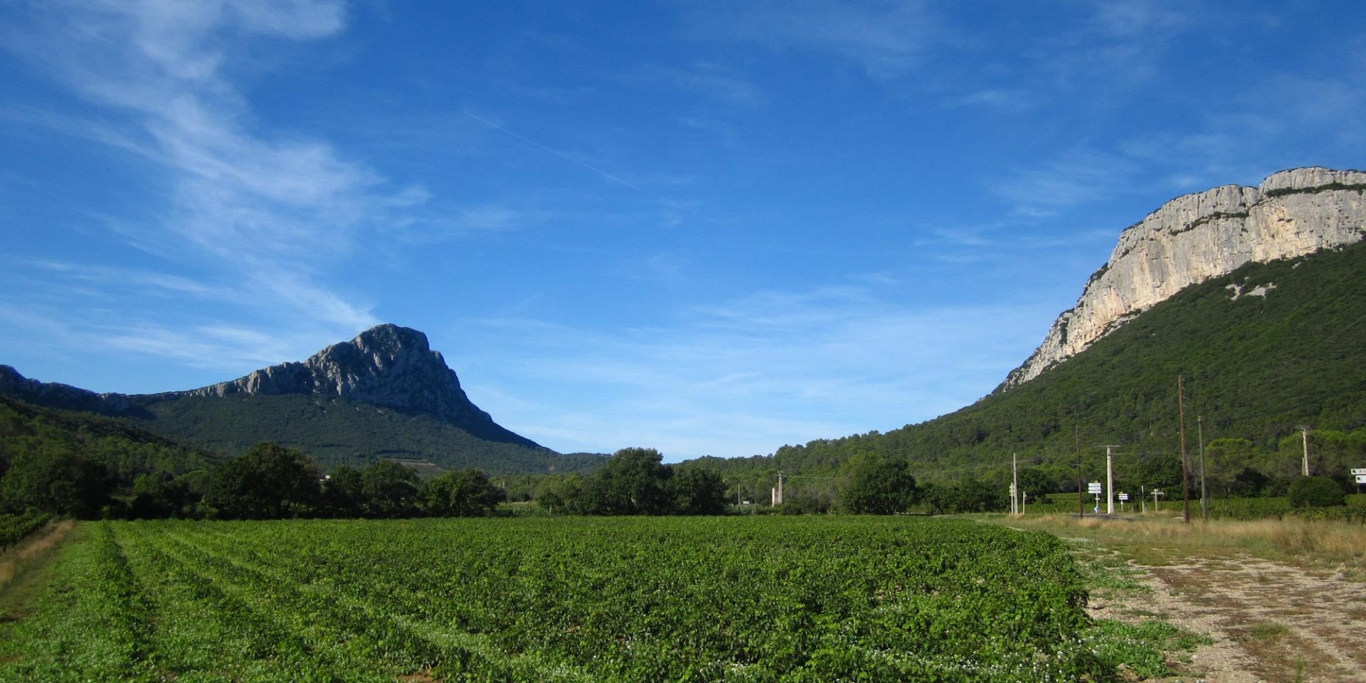 Pic-Saint-Loup-Montpellier-Wine-Tour-excursion.jpg