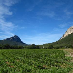 Pic Saint Loup Montpellier Wine Tour Excursion