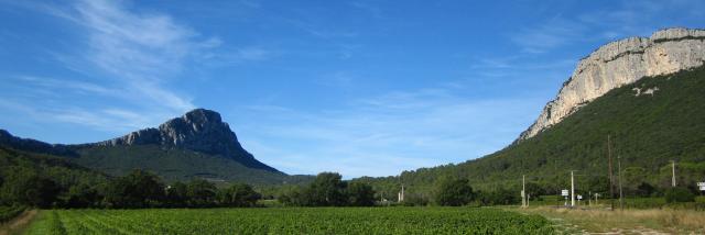 Pic-Saint-Loup-Montpellier-Wine-Tour-excursion.jpg