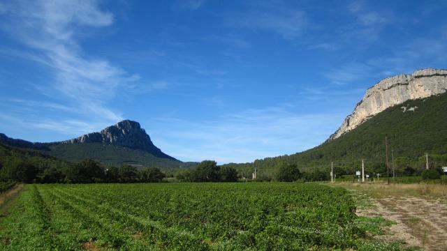 Pic-Saint-Loup-Montpellier-Wine-Tour-excursion.jpg