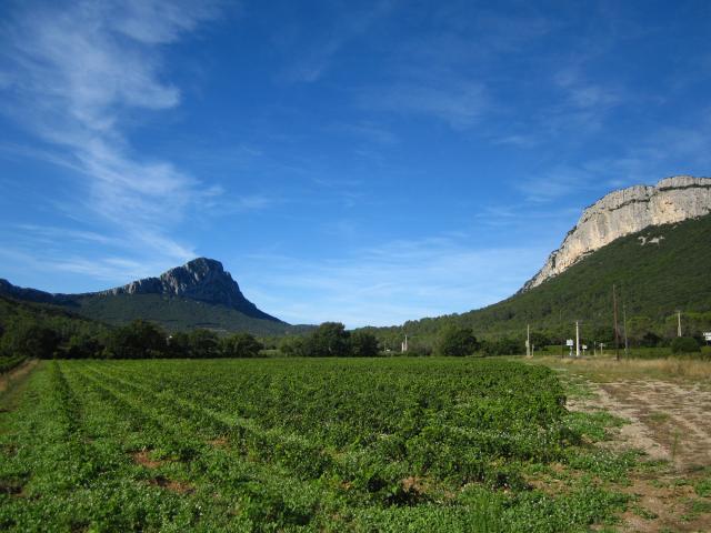 Pic-Saint-Loup-Montpellier-Wine-Tour-excursion.jpg