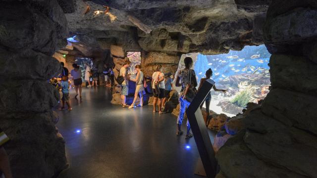 Planet Ocean Montpellier aquarium famille