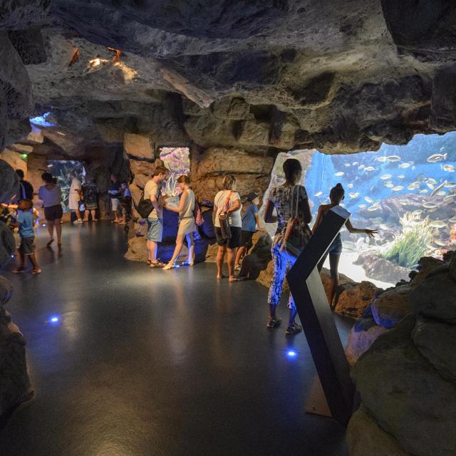 Planet Ocean Montpellier aquarium famille