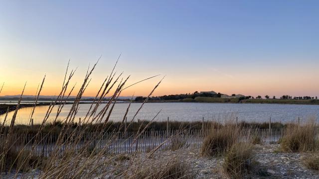 coucher-de-soleil-villeneuve-les-maguelone.jpg