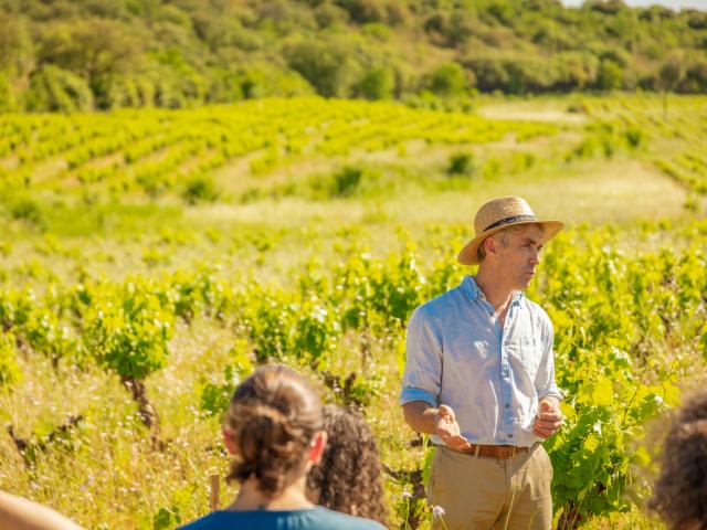 domaine d'anglas - Brissac