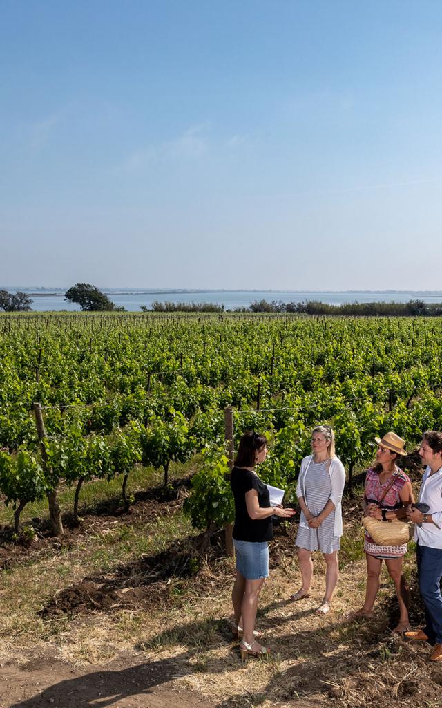 Villeneuve les maguelone vignes vin