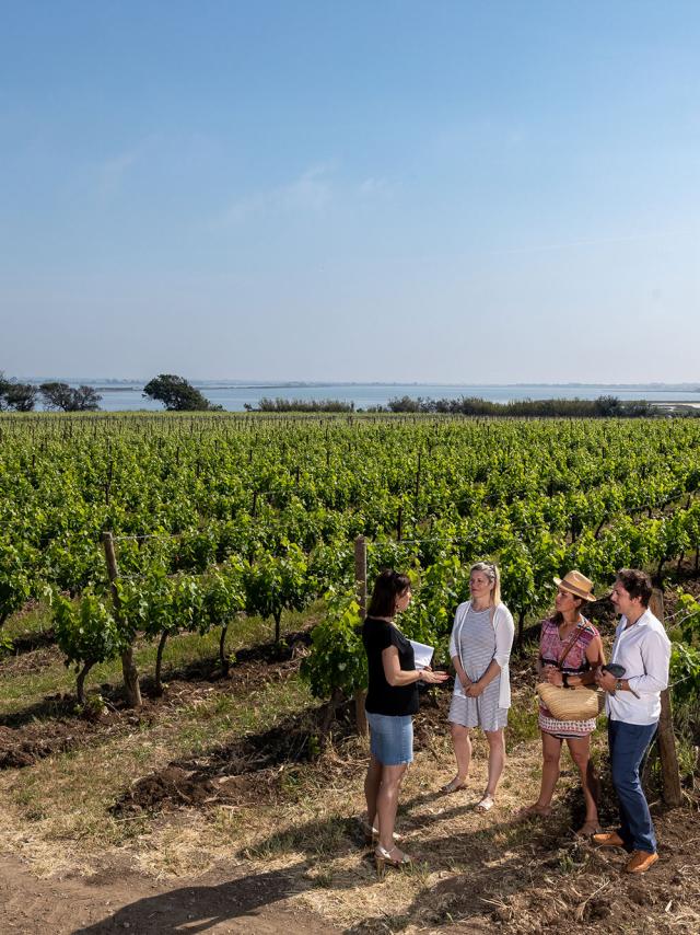 Villeneuve les maguelone vignes vin