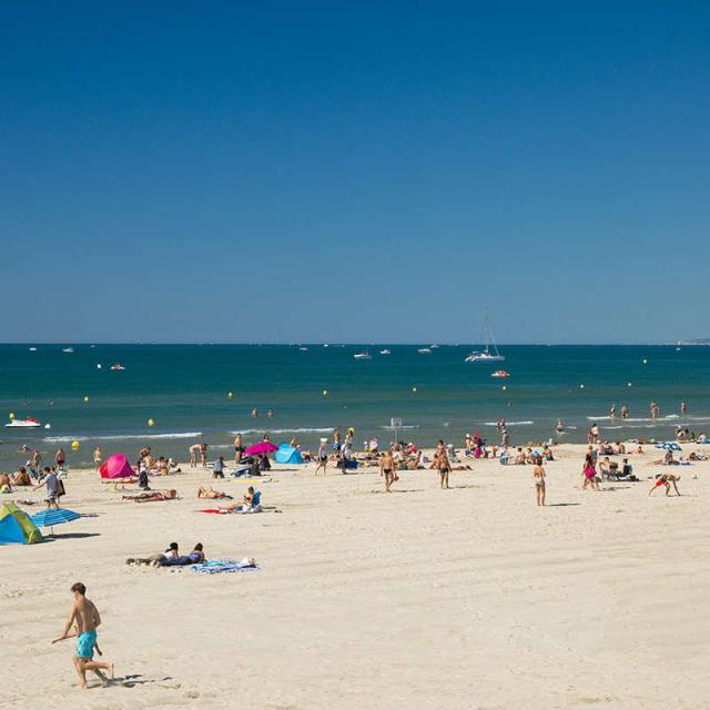 Bronzette Sur La Plage Du Couchant