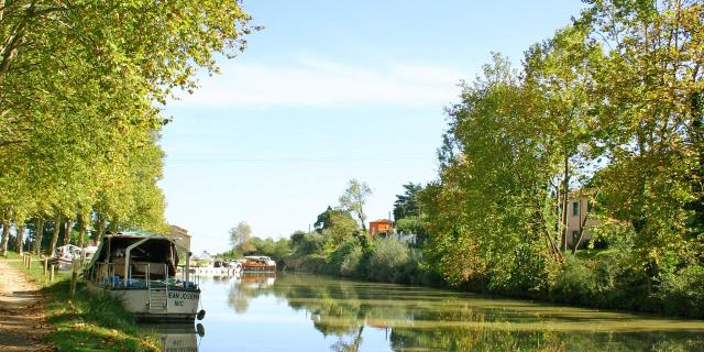 Canal Du Midi vertical