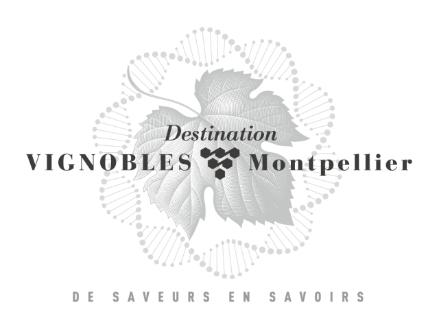 Destination_Vignobles_Montpellier-FRA-Fond_clair-300dpi-HD.png