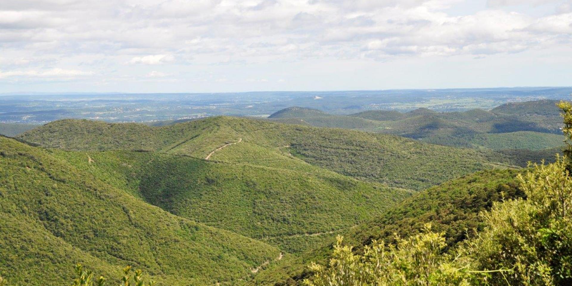 Montagnes-en-Cevennes.jpg