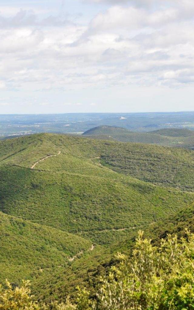 Montagnes-en-Cevennes.jpg