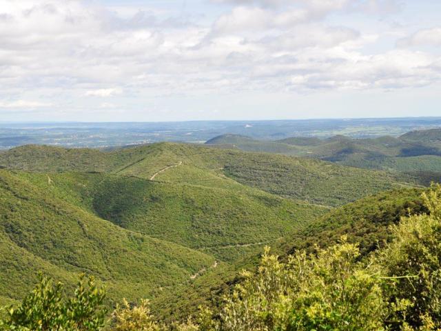 Montagnes En Cevennes