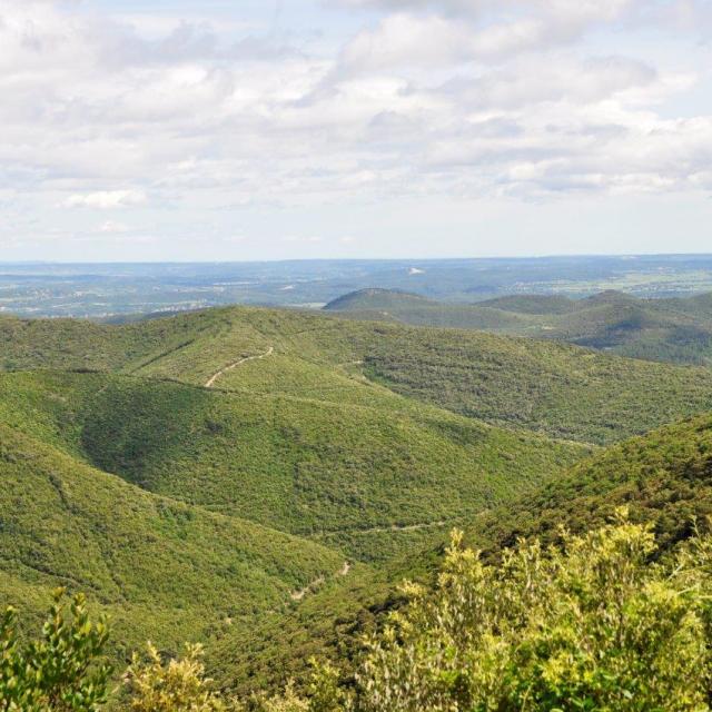 Montagnes En Cevennes