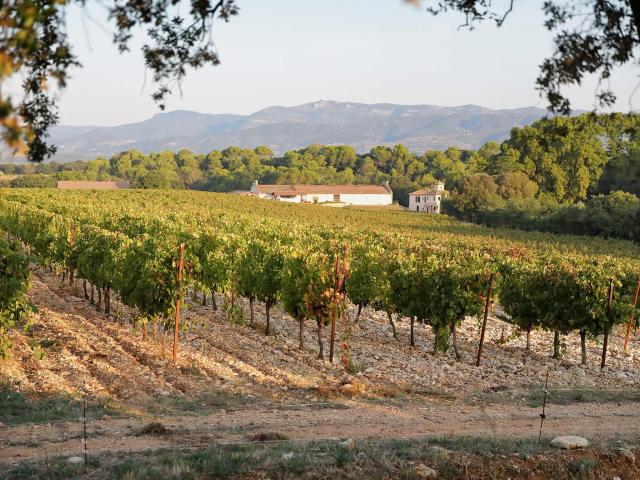 Paysage Vignes (c) Eric Jondreville