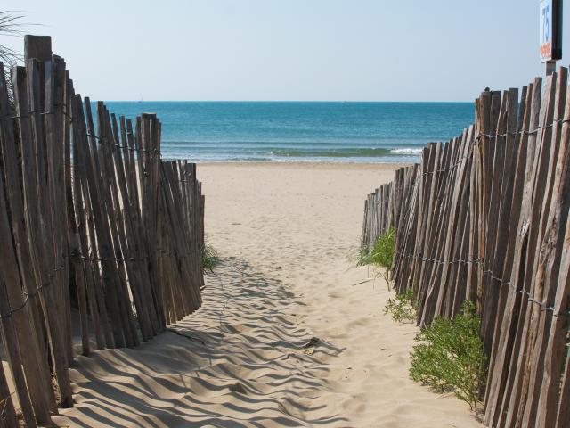 Plage Barriere Bois