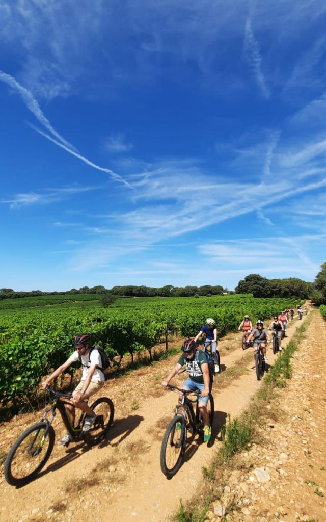 Randonnee-a-velo-dans-les-vignes-Seb-Eco-Bike-Domaine-de-lArbousier-1.jpg