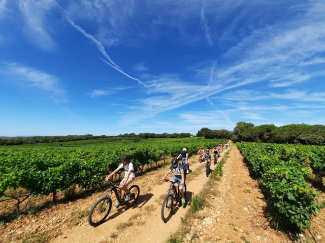 Randonnee-a-velo-dans-les-vignes-Seb-Eco-Bike-Domaine-de-lArbousier-1.jpg