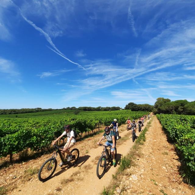 Randonnee A Velo Dans Les Vignes Seb Eco Bike Domaine De L'arbousier