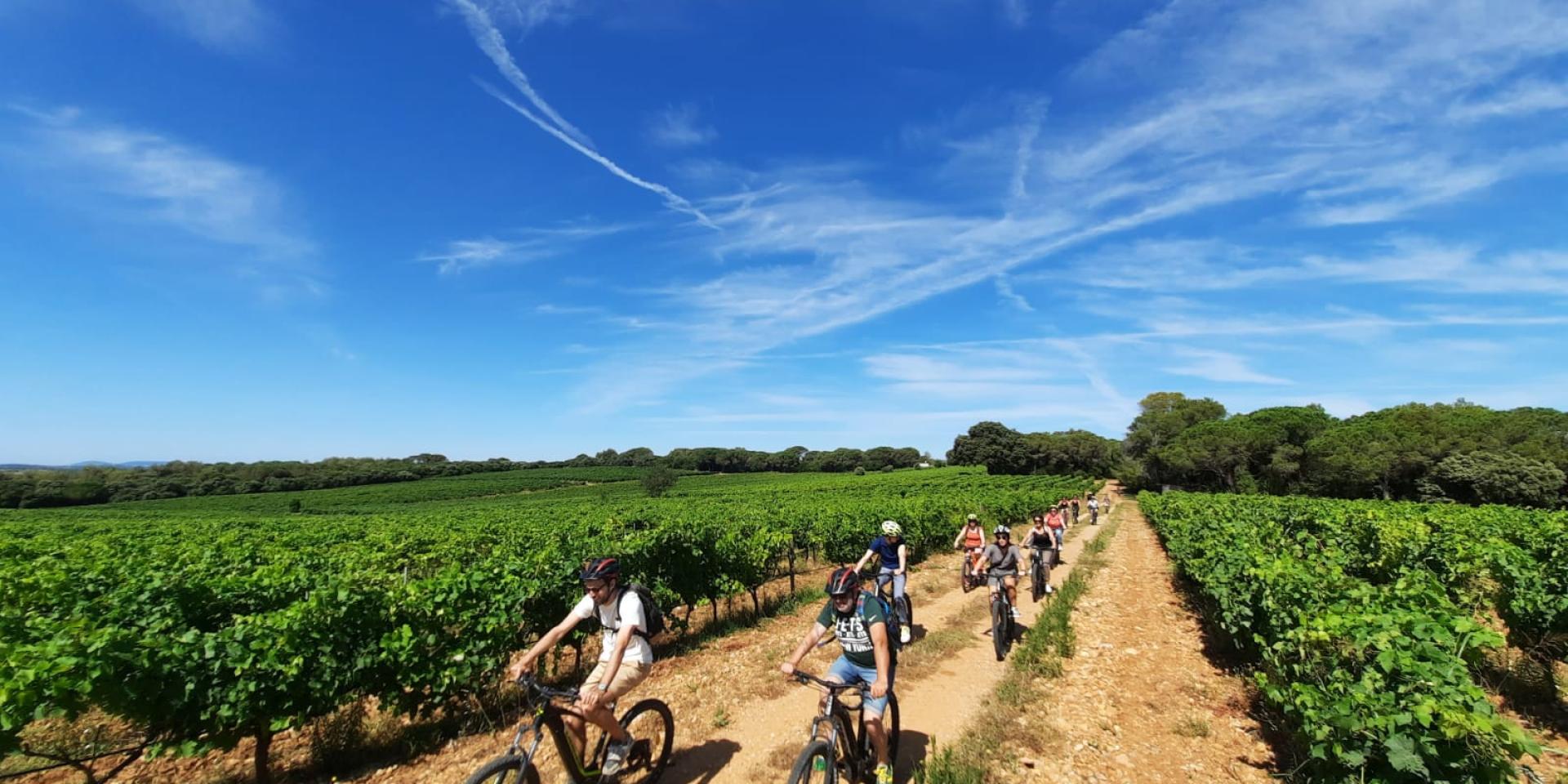 Randonnee A Velo Dans Les Vignes Seb Eco Bike Domaine De L'arbousier