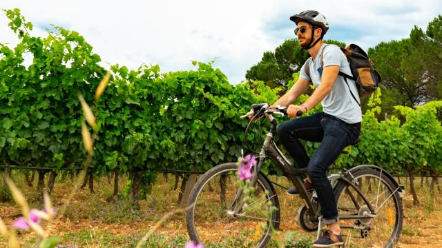 Velo-dans-les-vignes.jpg