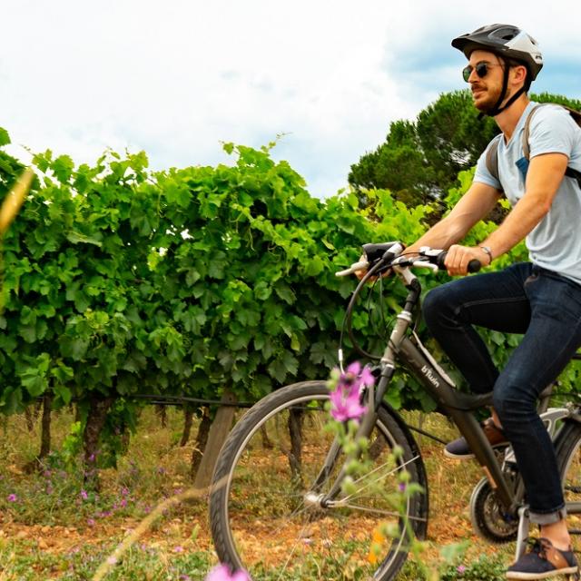 Velo-dans-les-vignes.jpg